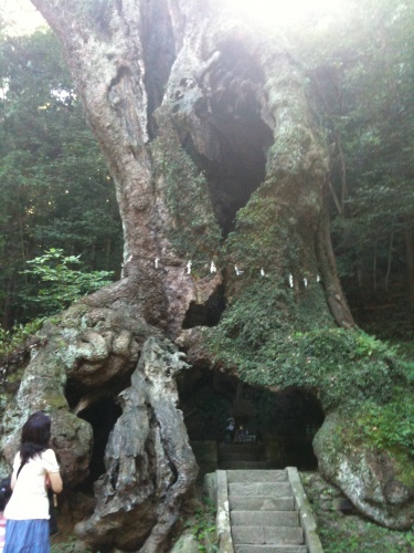 佐賀県・嬉野温泉で日頃の疲れを癒し、自然のパワーも頂いてきた