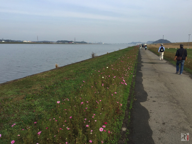 遠賀川河川敷遊歩道