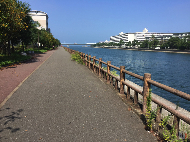 菰川沿い遊歩道