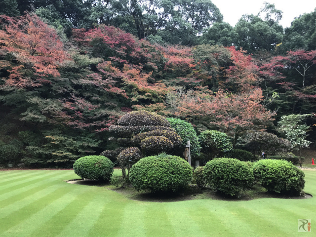 曇天の下、寺社巡りと紅葉見物で秋を感じる【新飯塚ウォーク】