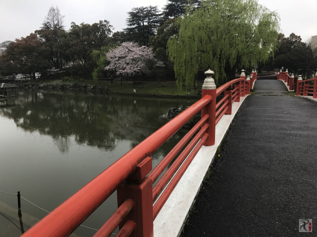 勝盛公園の赤い橋