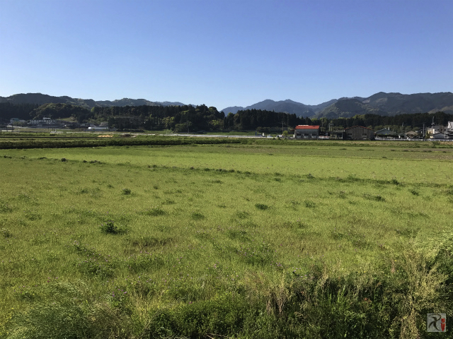 川崎町の田園風景