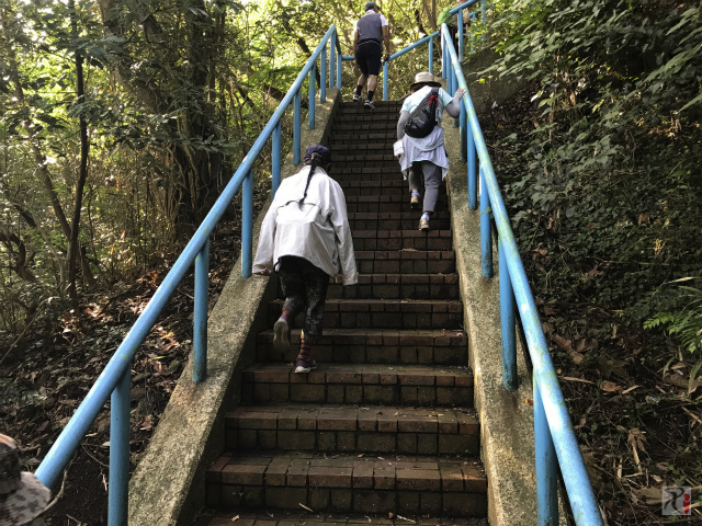道伯山の階段
