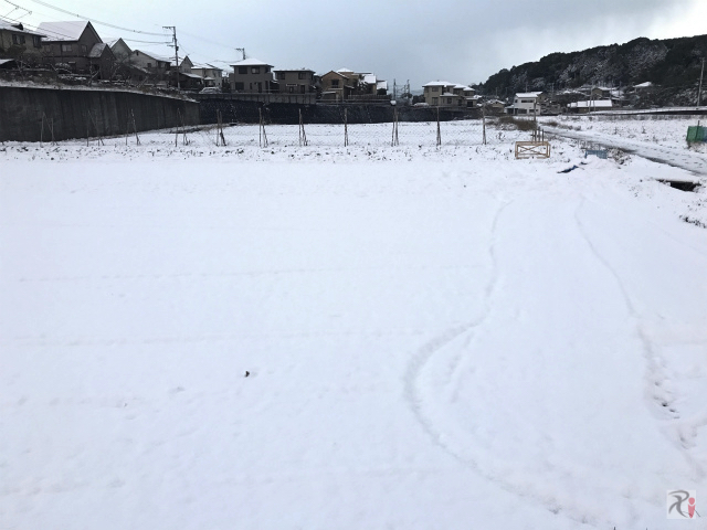 北九州の積雪