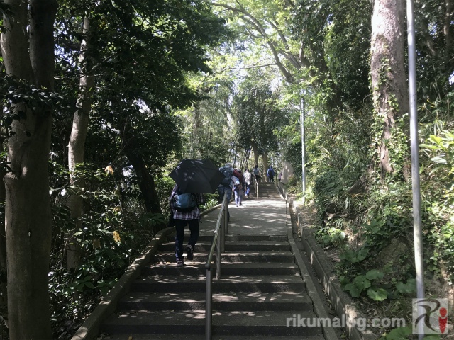 須賀神社の階段