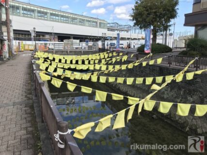 高倉健さんの命日に合わせ「幸福の黄色いタオル」が堀川で揺れている
