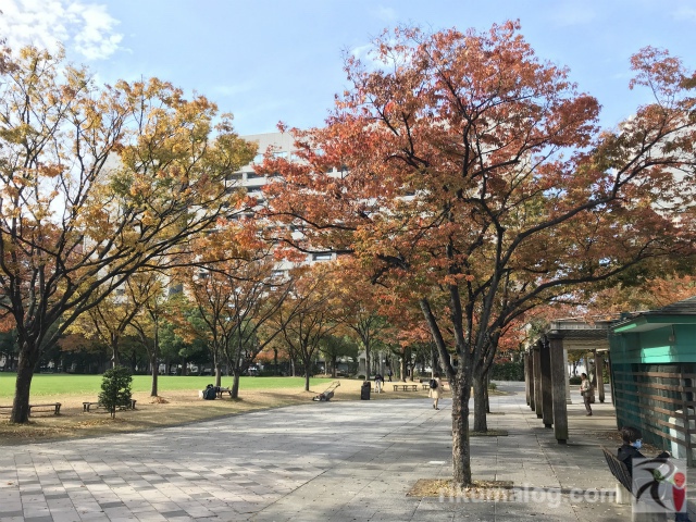 天神中央公園の紅葉