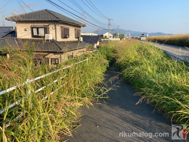 遠賀川堤防の歩道