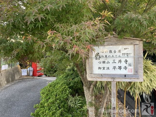 三井寺の入口