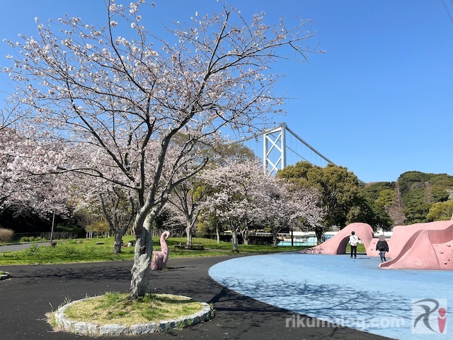 和布刈公園潮風広場の桜