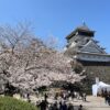 小倉城と桜