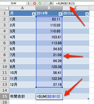 B14セルを集計対象から除外する